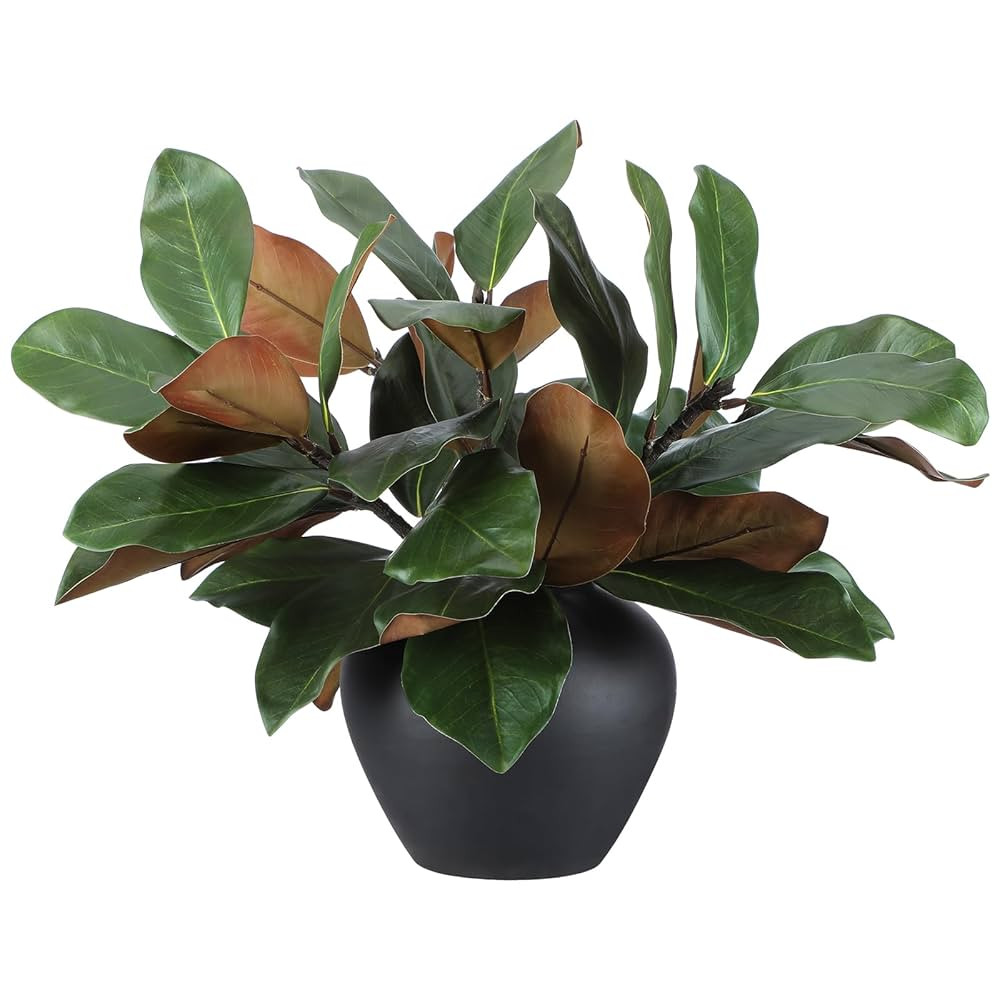 6 Pcs Magnolia Artificial Leaves Branches 3D Magnolia Pick Real Touch Faux Stems Simulation Leave... | Amazon (US)