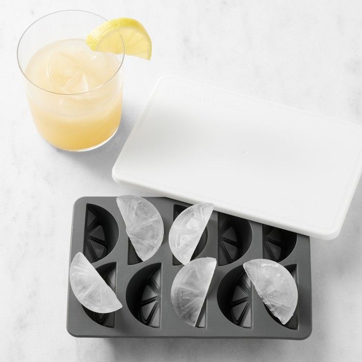 Williams Sonoma Citrus Ice Tray with Lid | Williams-Sonoma