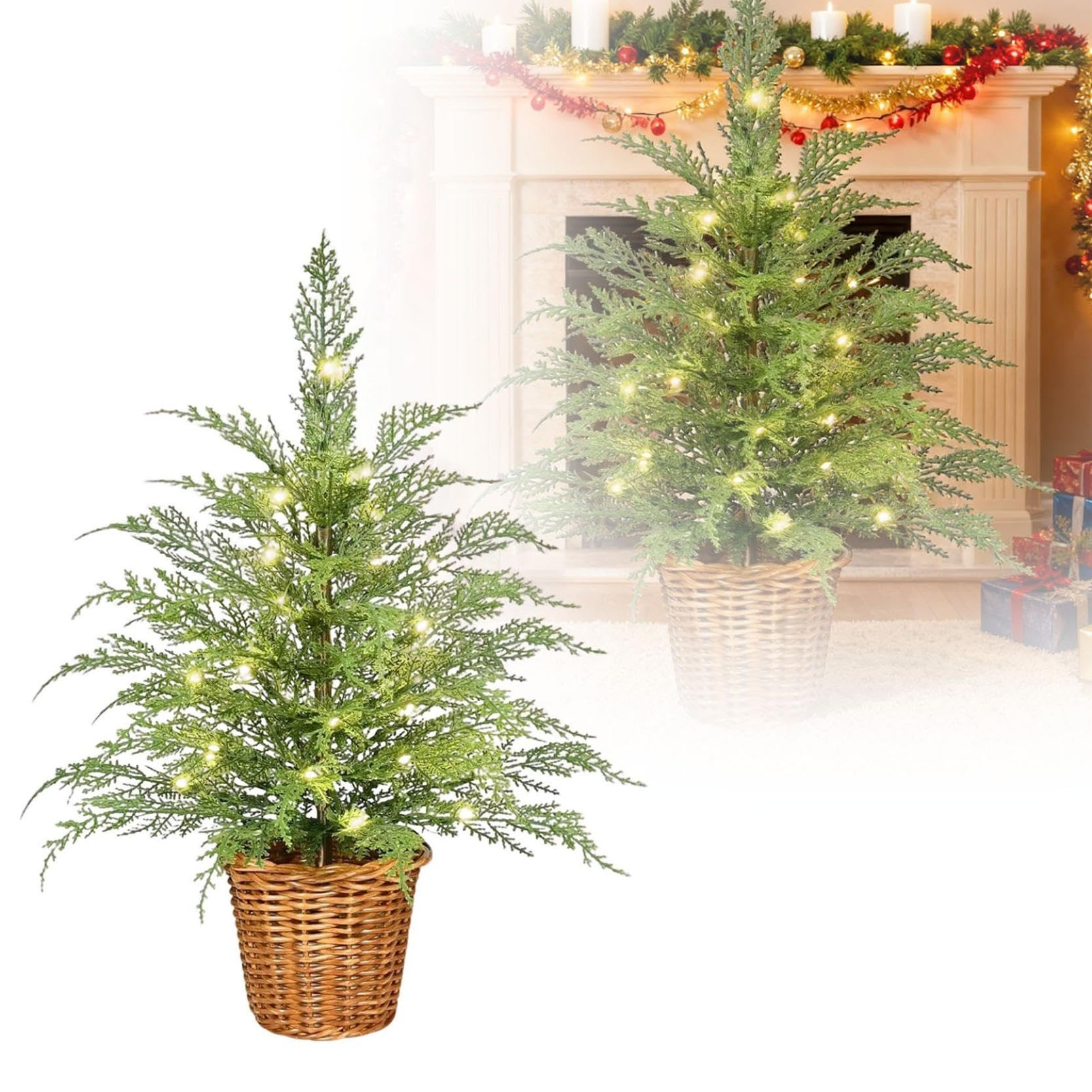 My Texas House Christmas Tree, 2 Feet Plant Fertilizer Indoor Potted Plants, Cypress Christmas Tr... | Amazon (US)