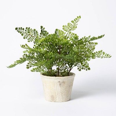 13&#34; x 13&#34; Artificial Fern Plant in Wood Pot - Threshold&#8482; designed with Studio McGee | Target