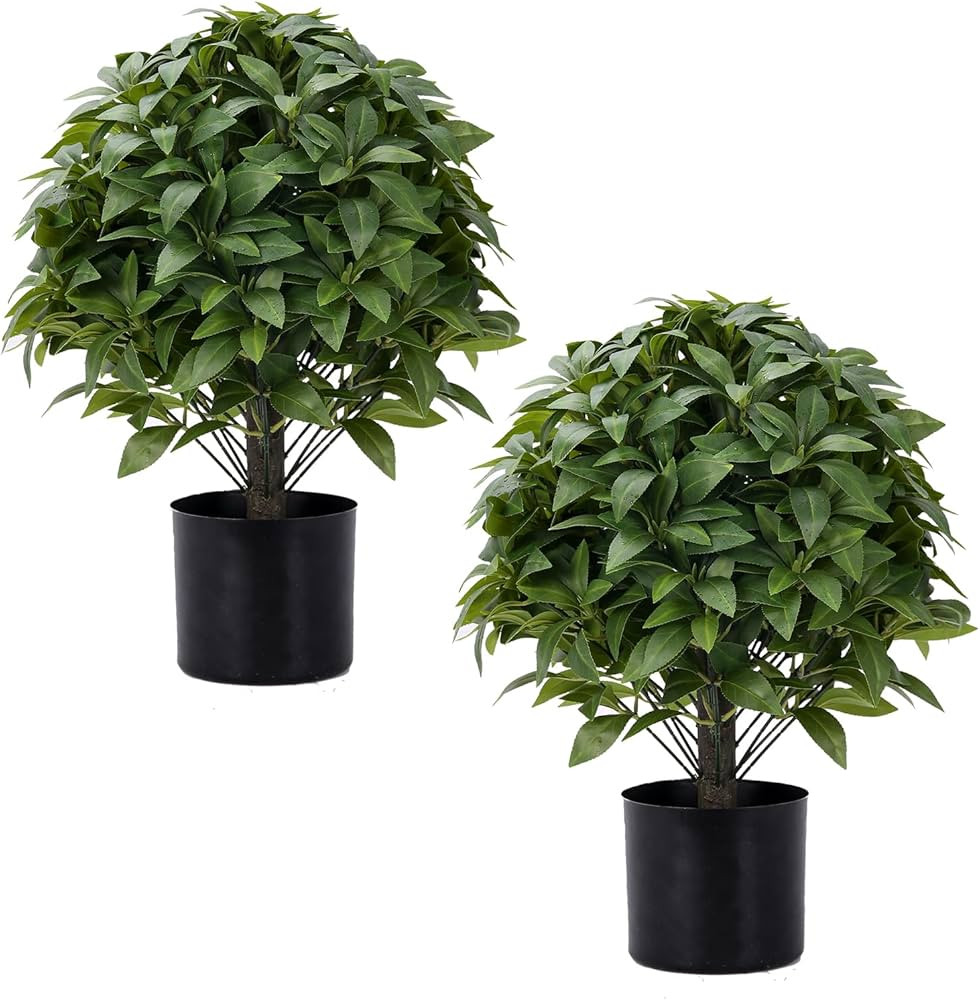 Visit the Weitaisi Store | Amazon (US)