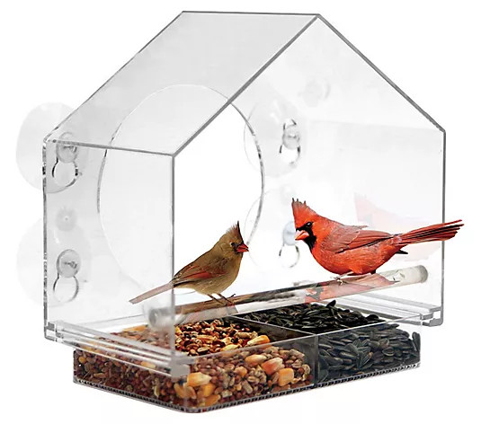 Make Your Selection: Backyard Expressions Acrylic House Window Birdf eeder | QVC