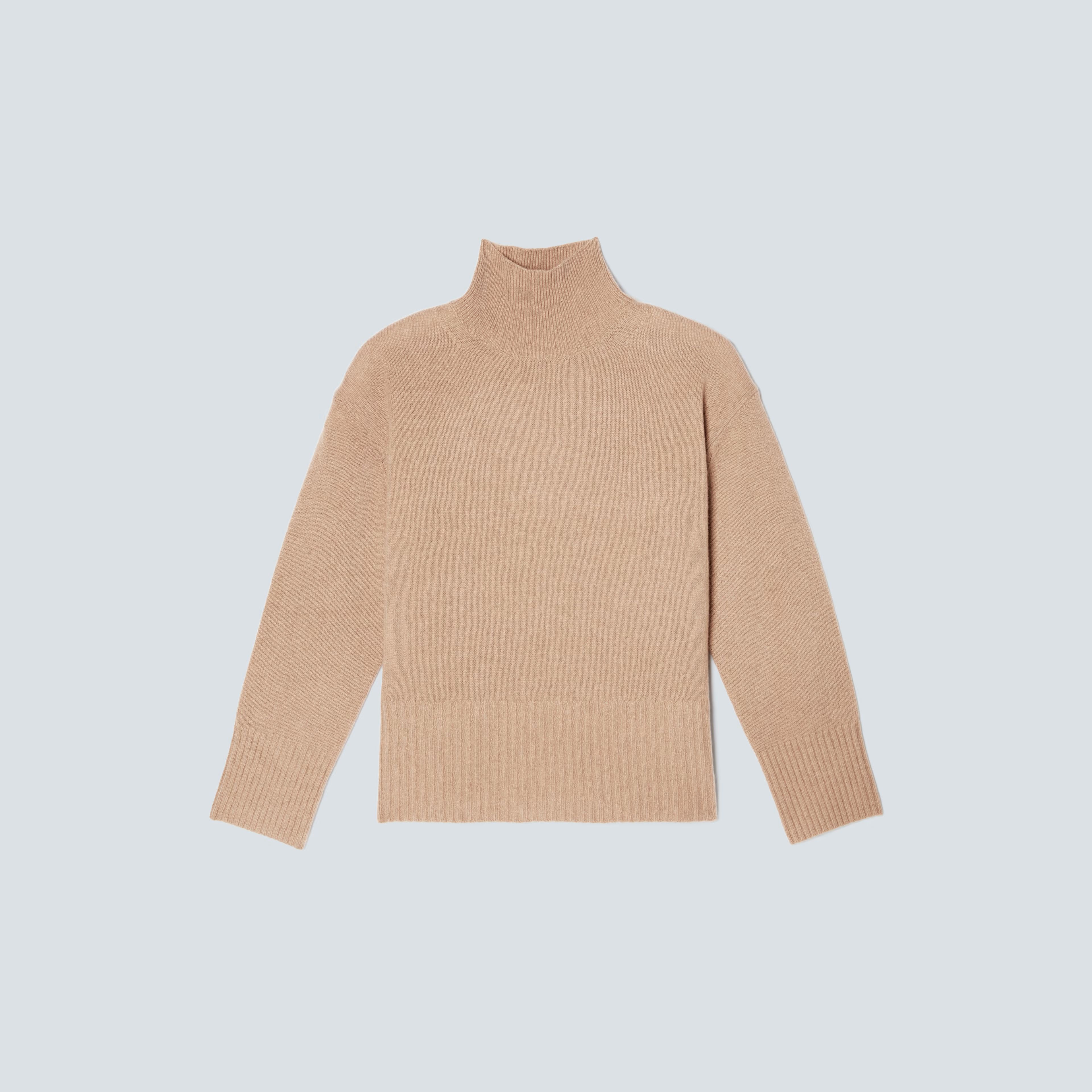 The Cashmere Oversized Turtleneck | Everlane