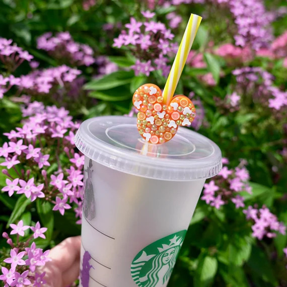 Magical Straw Citrus Confetti Mouse Head  Straw Buddy  Straw - Etsy | Etsy (US)