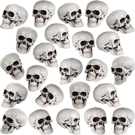 24 Pieces Halloween Skulls Realistic Looking Skulls, Skeleton Toy Miniatures for Crafts Plastic S... | Amazon (US)