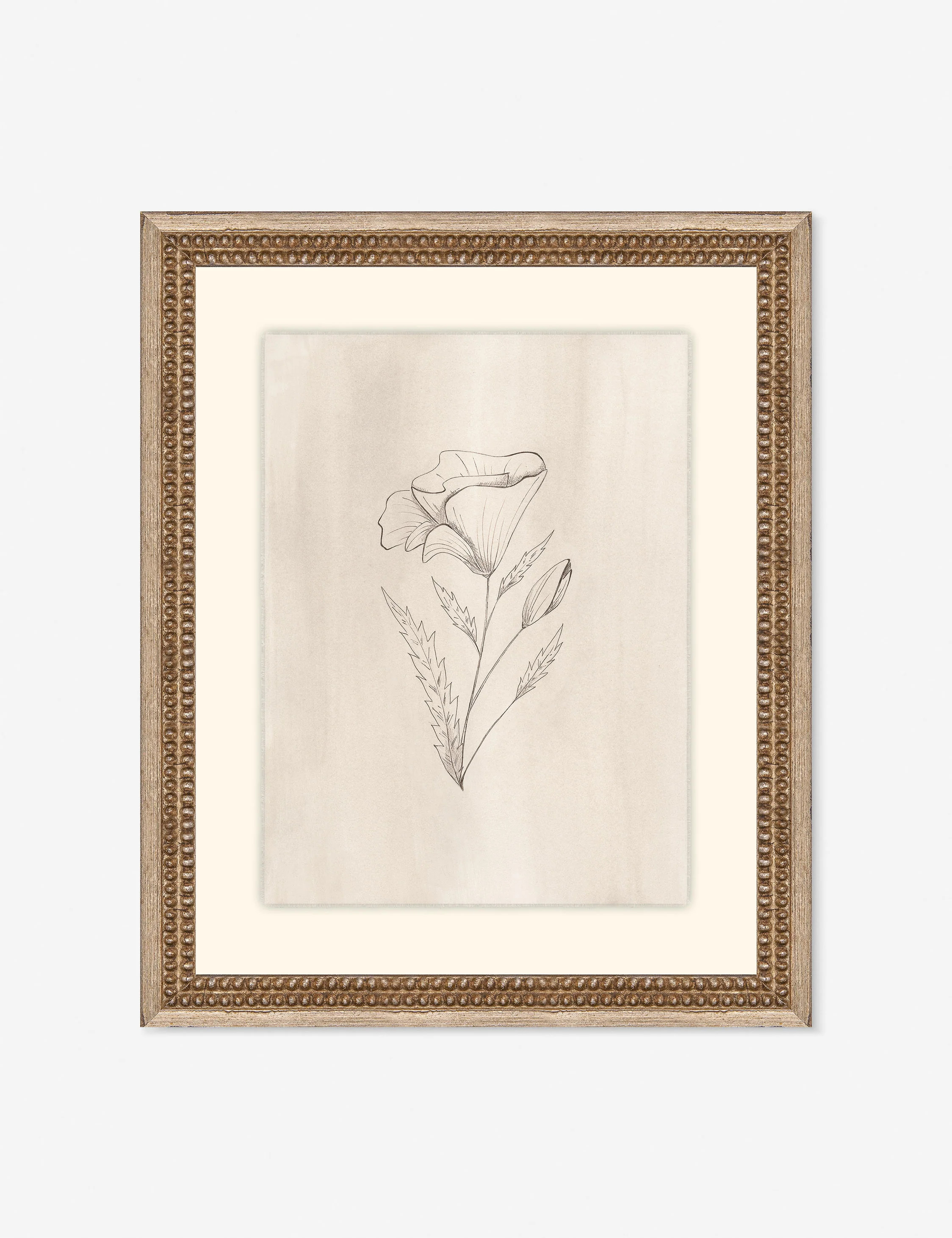 Elegant Botanical III Wall Art | Lulu and Georgia 