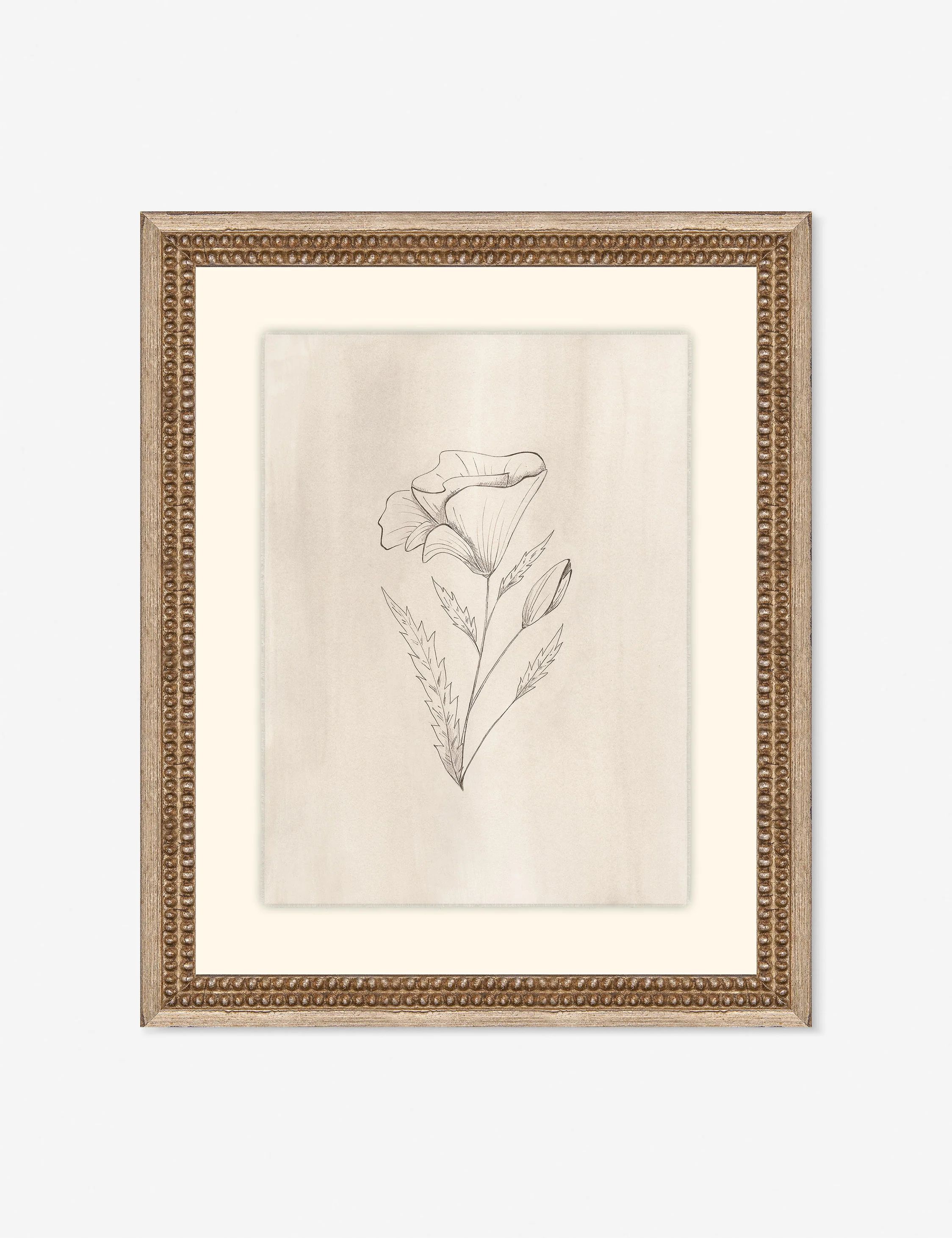 Elegant Botanical III Wall Art | Lulu and Georgia 