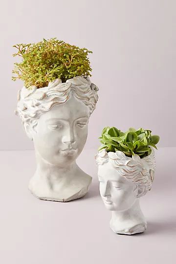 Grecian Bust Pot | Anthropologie (US)