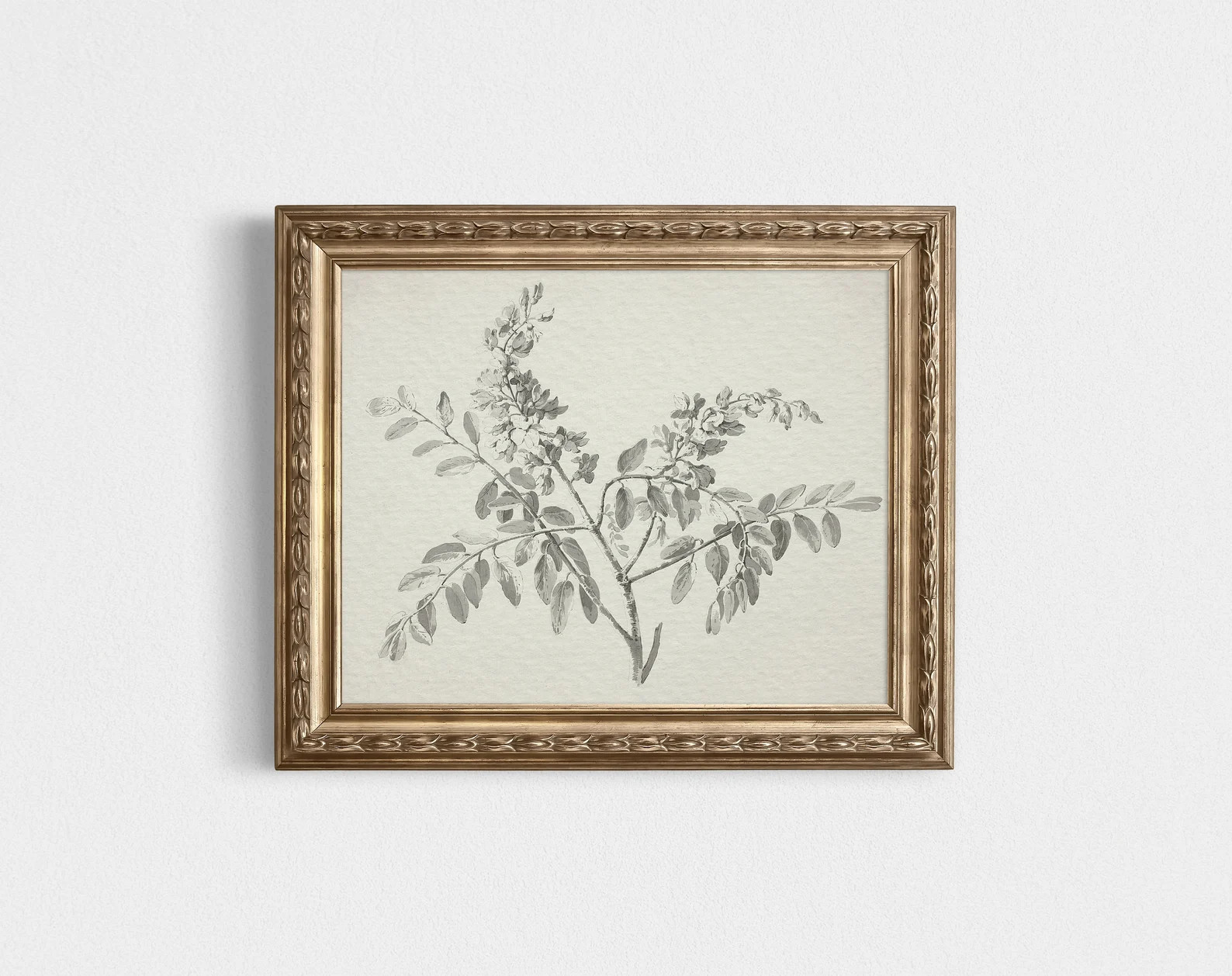 Vintage Botanical Sketch / Antique Branch Drawing PRINTABLE / | Etsy | Etsy (US)
