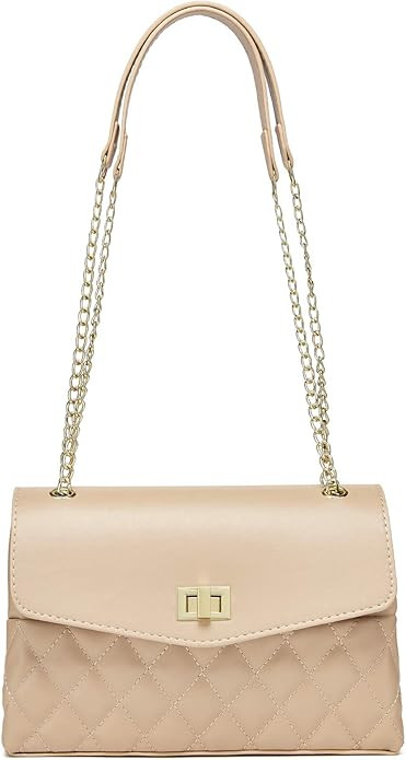 Small Quilted Purse Double Compartment Crossbody Bag for Womens Gold With Chain Strap | Amazon (US)