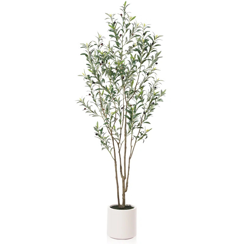 Adcock Faux Olive Tree in White Planter, Lifelike Fake Olive Plant for Indoor and Outdoor Decor | AllModern