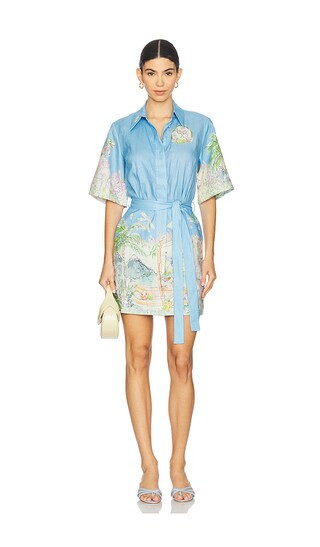 Anouk Mini Dress in Sky | Revolve Clothing (Global)