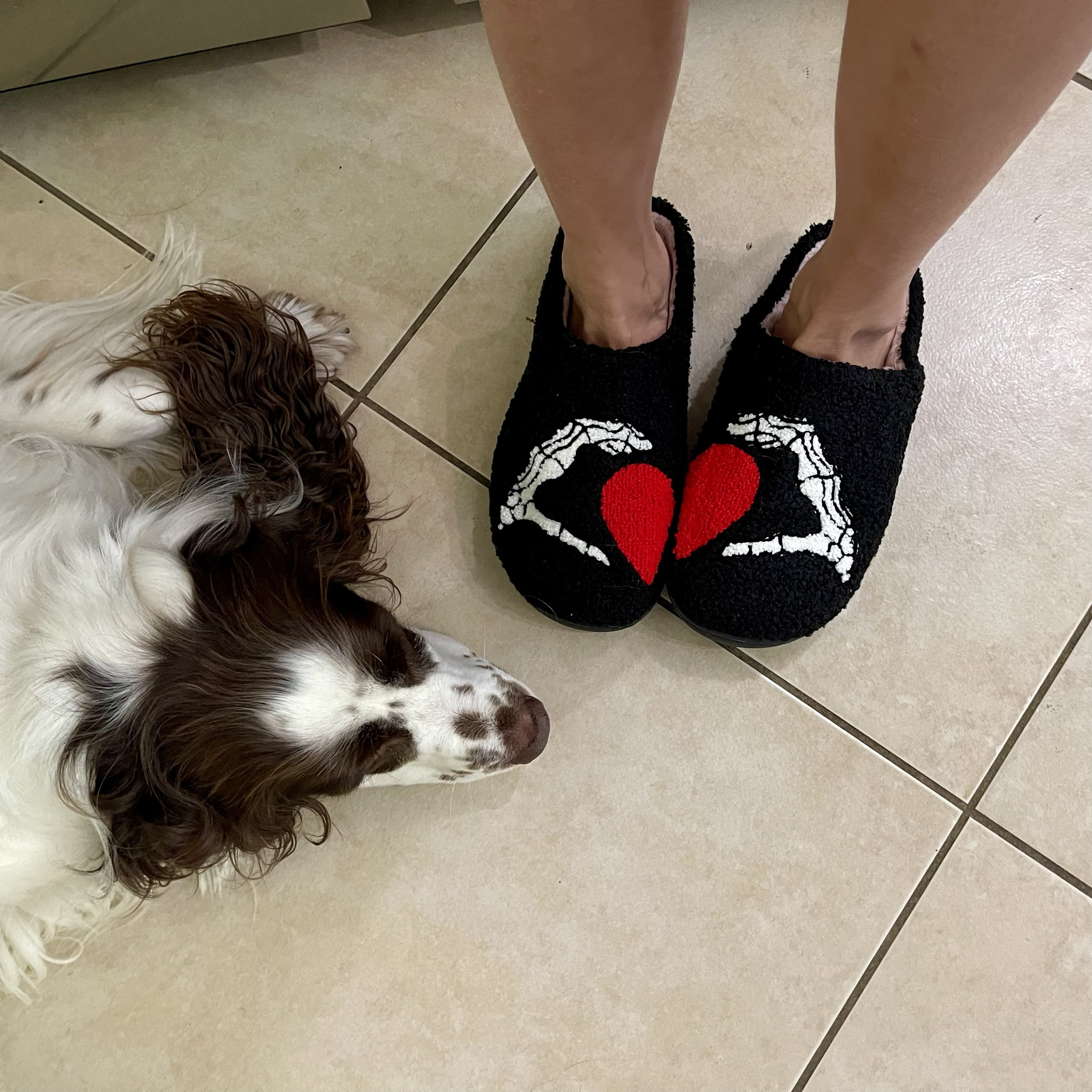 Heart hands 🫶🏼 or broken hearts 💔? I’m heartbroken I didn’t get my hands on a giant skeleton! My new favorite slippers are the next best thing to have festive fun for the Fall - Halloween season. They’re the perfect balance of spooky cute 👻 and comfort. The boucle material is on trend and stays looking nice much better than typical fuzzy slippers. 

These are the perfect find to lounge around the house in. Also available in ghost pumpkin scream jackolantern prints 

Related: Spooky Swiftie house slippers BFF gift ideas gift ideas for her comfy 

#LTKSeasonal #LTKFindsUnder50 #LTKShoeCrush