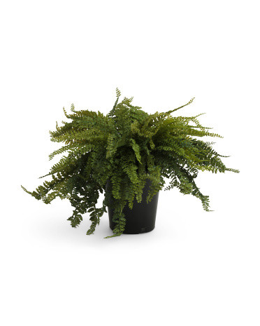 Outdoor Safe Real Touch Faux Fern In Pot | TJ Maxx