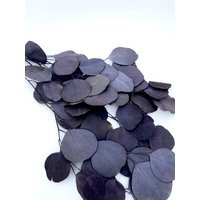 Preserved Dark Purple Apple Leaf Soft Eucalyptus Silver Dollar Eucalyptus. 18""-20""Bunch | Etsy (US)