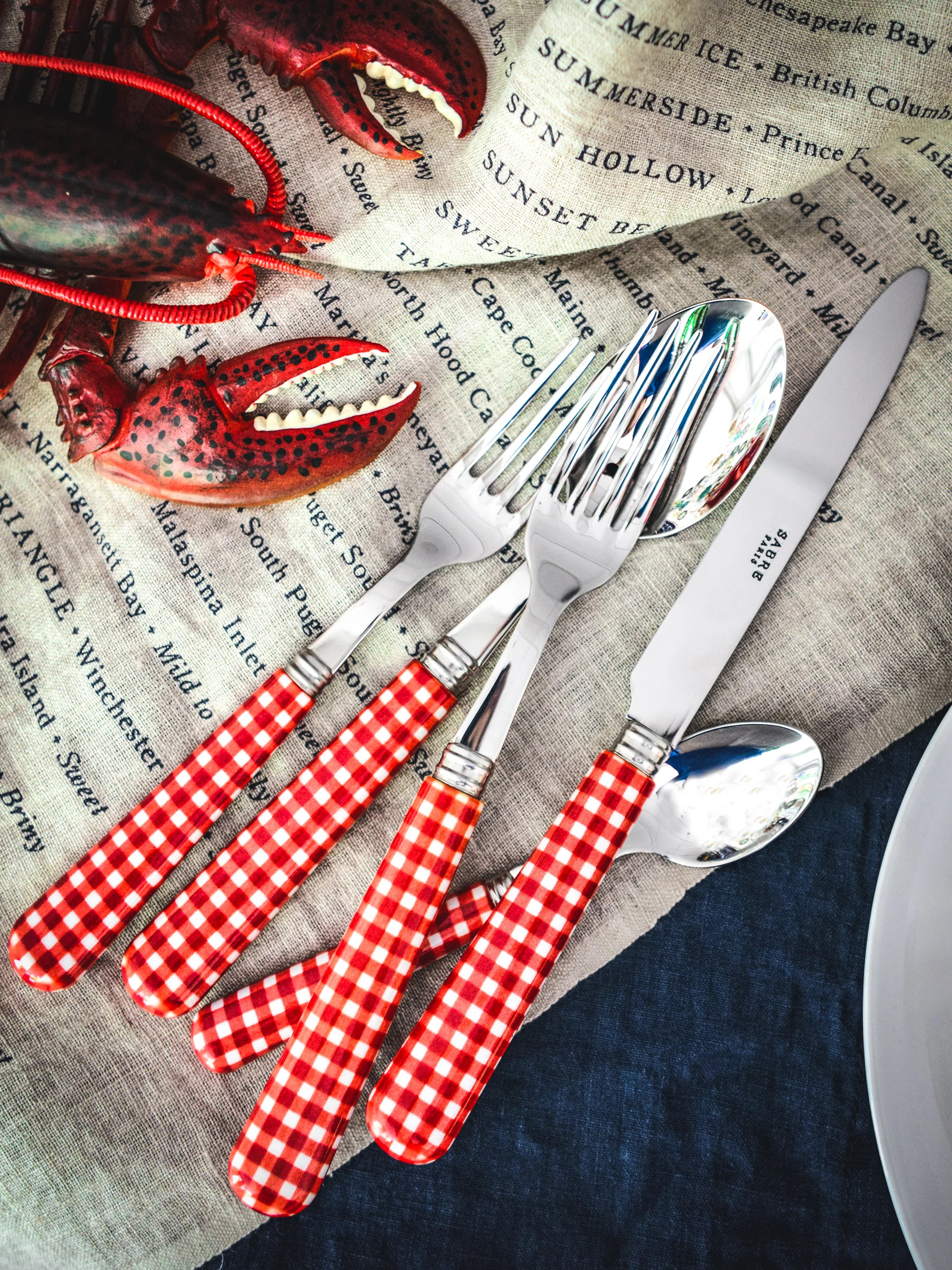 Sabre Paris Gingham Red 5 Piece Place Setting | Weston Table