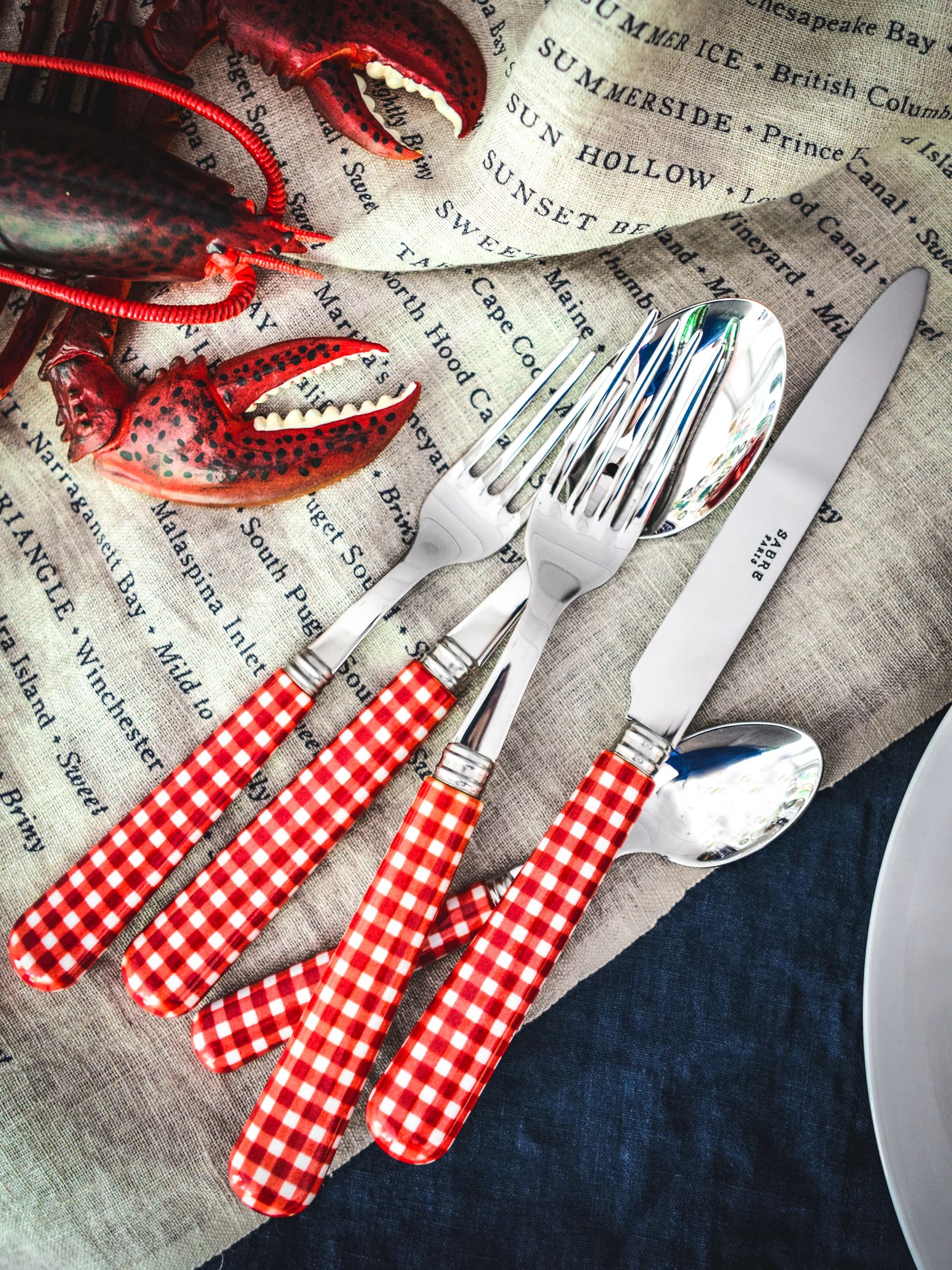 Sabre Paris Gingham Red 5 Piece Place Setting | Weston Table