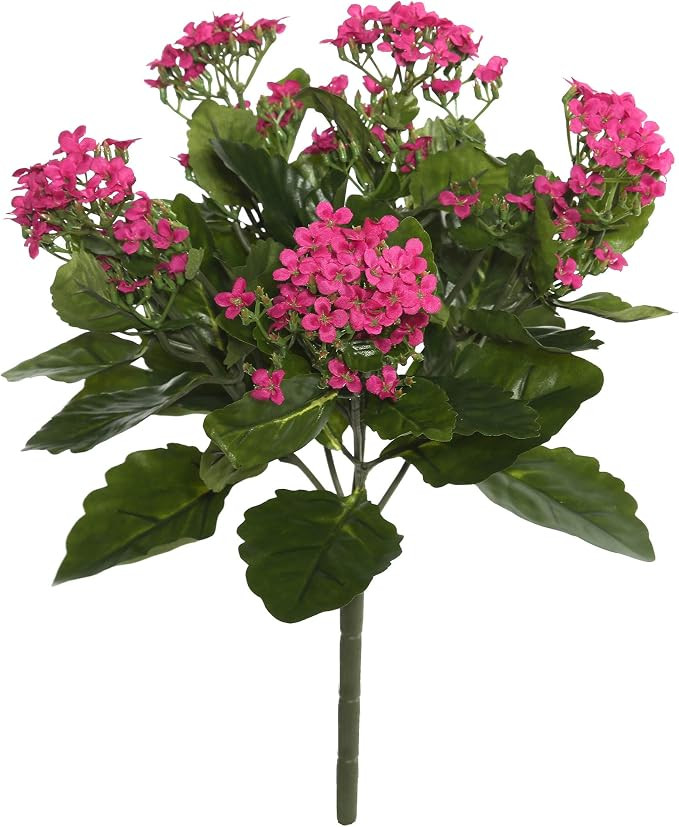 Vickerman Everyday Artificial Hot Pink Kanachoe Bush 17.25" Long - Premium Faux Floral Decor for ... | Amazon (US)
