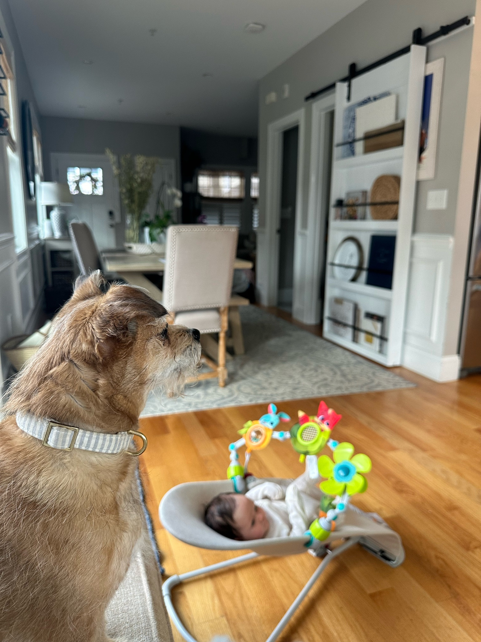 Saturday morning at home 😍

#LTKHome #LTKFamily #LTKBaby