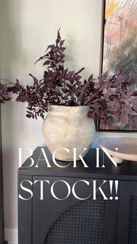 Runnnnn!!!! These gorgeous stems are back in stock and sell out every. single. time! The prettiest plum cimicifuga stems from Afloral! 😍

#LTKVideo #LTKHome #LTKFindsUnder50
