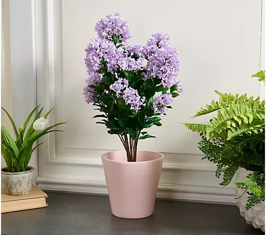 "As Is" Wicker Park 2' Fadeproof Faux Lilac Tree - QVC.com | QVC