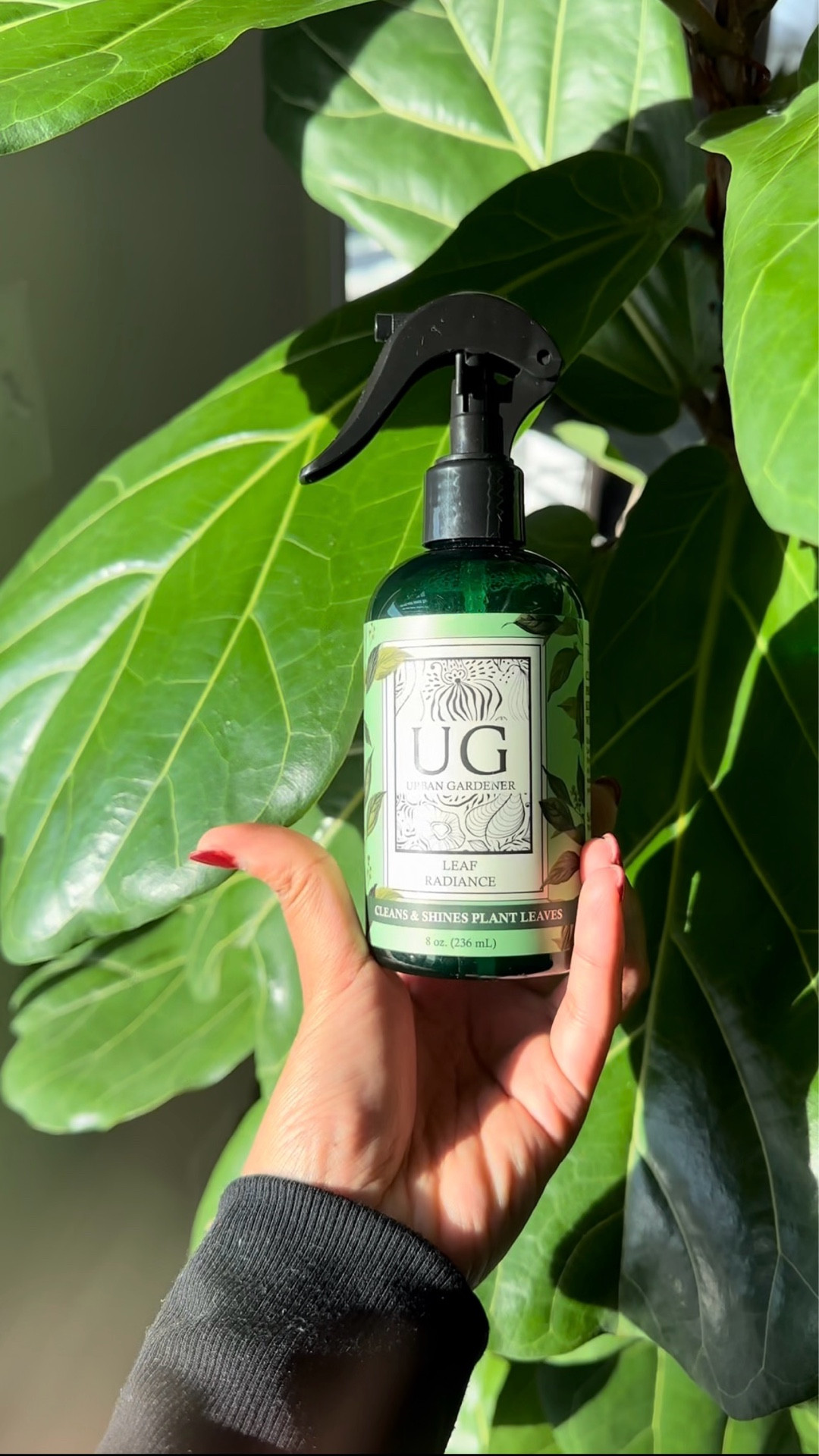 Give your plants that "just watered" shine 

#LTKHome #LTKFindsUnder50