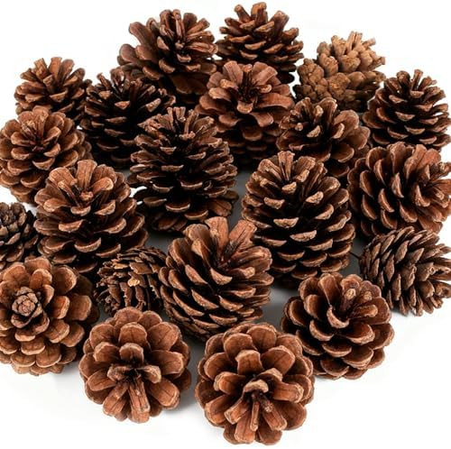 24 Pcs Christmas Pinecones Ornaments Natural Rustic Pine Cones Hanging with String Pinecone Chris... | Amazon (US)