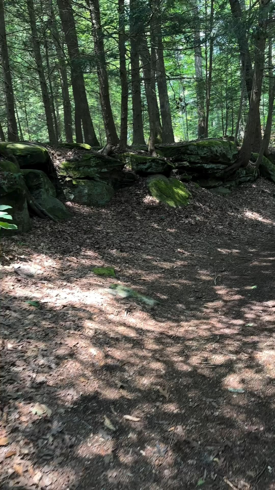 If my soul had a soundtrack - this would be it. 🎧

.

#TheFateOfOphelia #CinematicReel #ViralTravelReel #TravelVibesOnly #WanderlustDreams #AestheticEdit #TravelTok