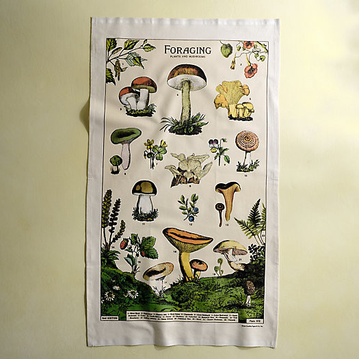 Foraging Cotton Dish Towel | Terrain