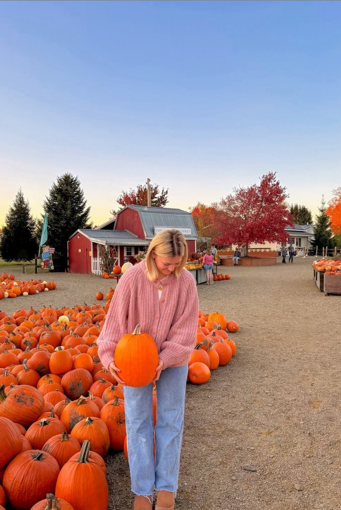 fall outfit inspo, girly fall day, colorful scarfs, autumn aesthetic, autumn outfit aesthetic, jean skirt, pumpkin patch outfits, fall outfits, boots, cozy outfits, outfits to wear to a pumpkin patch, girls fall trip inspo 



#LTKHalloween #LTKSeasonal #LTKFindsUnder100

#LTKFindsUnder100 #LTKU #LTKSeasonal

#LTKU #LTKSeasonal #LTKHalloween

#LTKFindsUnder100 #LTKSeasonal #LTKHalloween