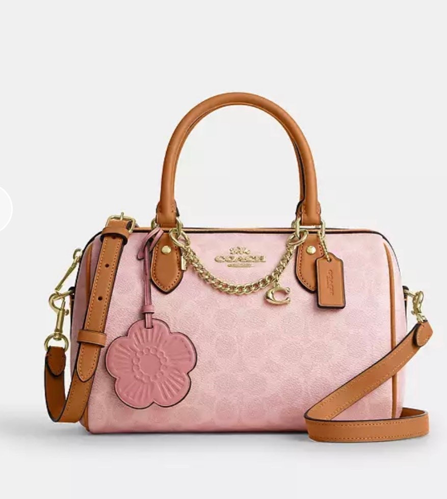 Mini Rowan Satchel Bag
In Signature Canvas With Charms #coachpowderpink #coachrowan

#LTKMidsize #LTKootd #LTKgrwm