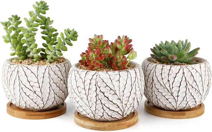 T4U 4 Inch Cement Succulent Plant Pot with Tray, Small Concrete Cactus Flower Planter Set of 3, L... | Amazon (US)