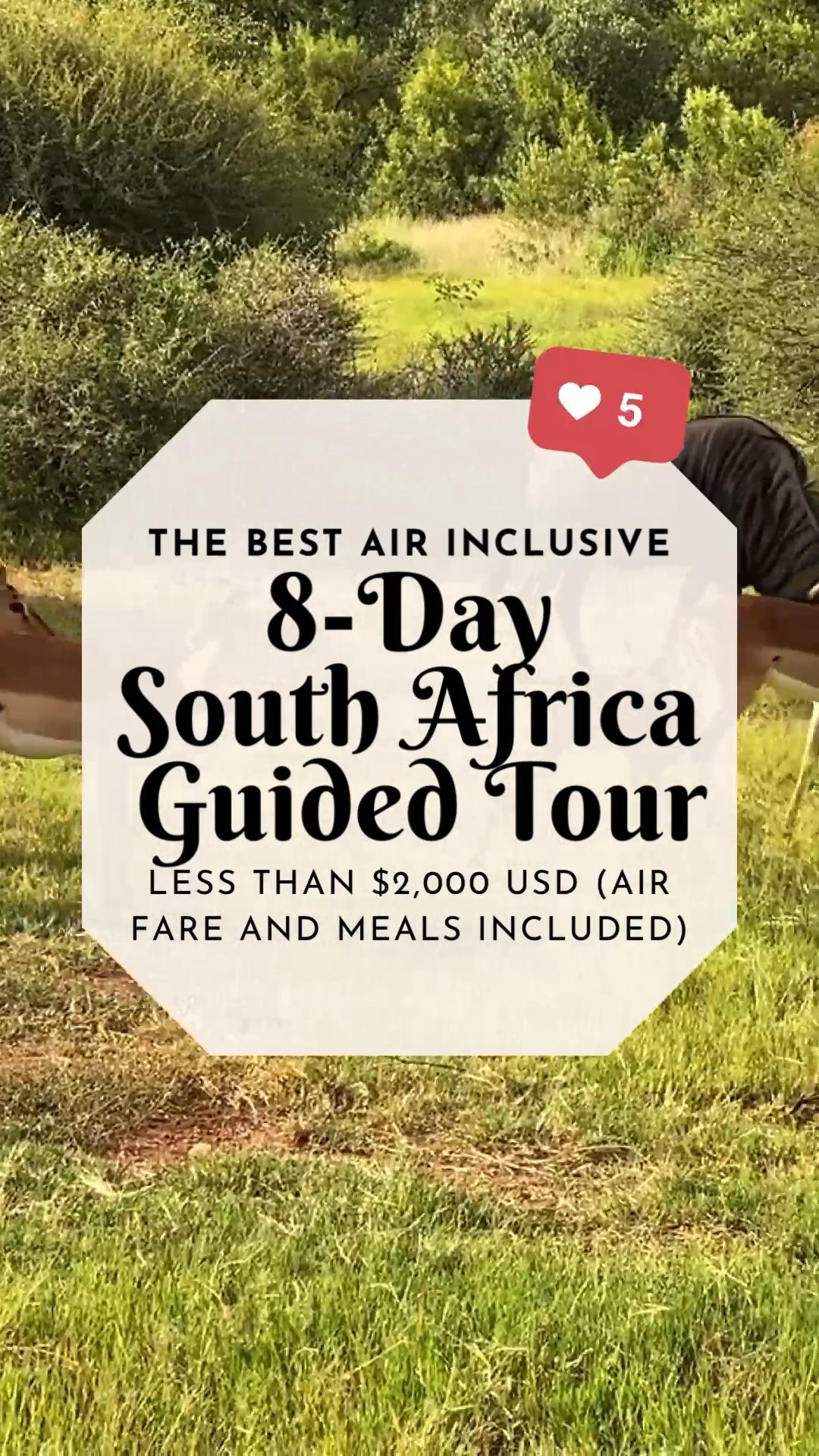 Enjoy an 8 day guided tour of South Africa for under $2,000 USD. This includes round trip Air far, meals, and city transfers. 

#LTKsalealert #LTKtravel #LTKGiftGuide