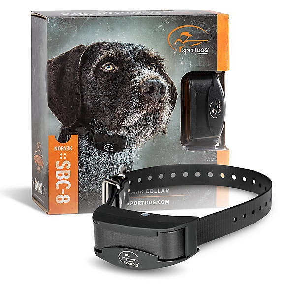 SportDOG Brand® NoBark SBC-10 Bark Control Dog E-Collar | PetSmart