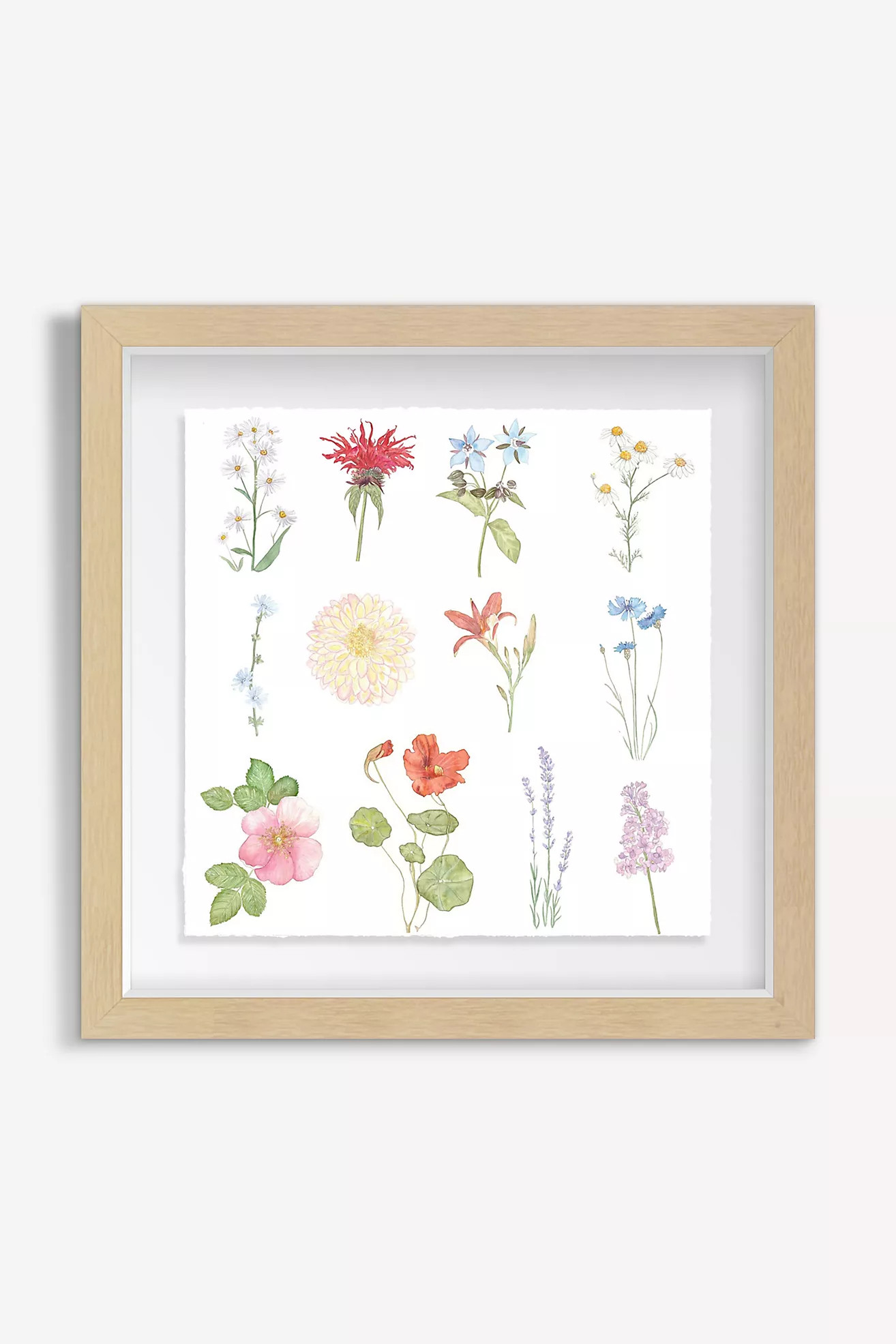 Edible Flowers Wall Art | Anthropologie (US)