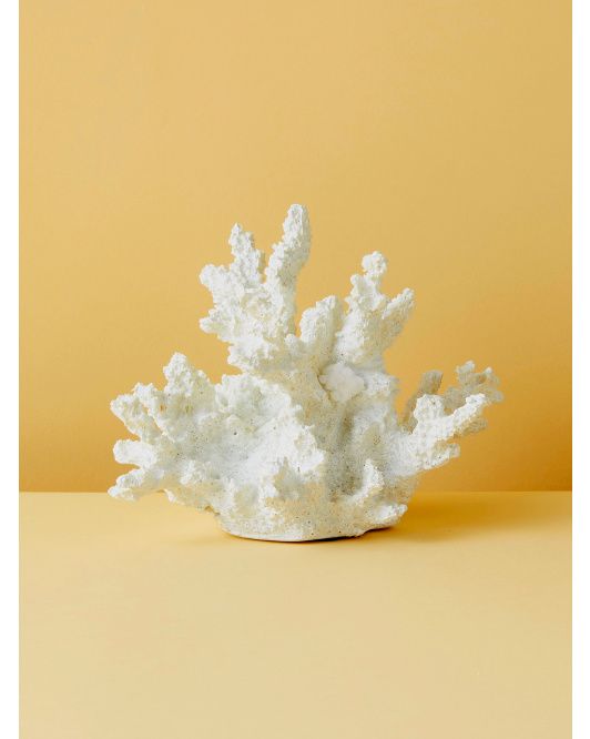 6x8 Decorative Faux Coral | Decorative Objects | HomeGoods | HomeGoods