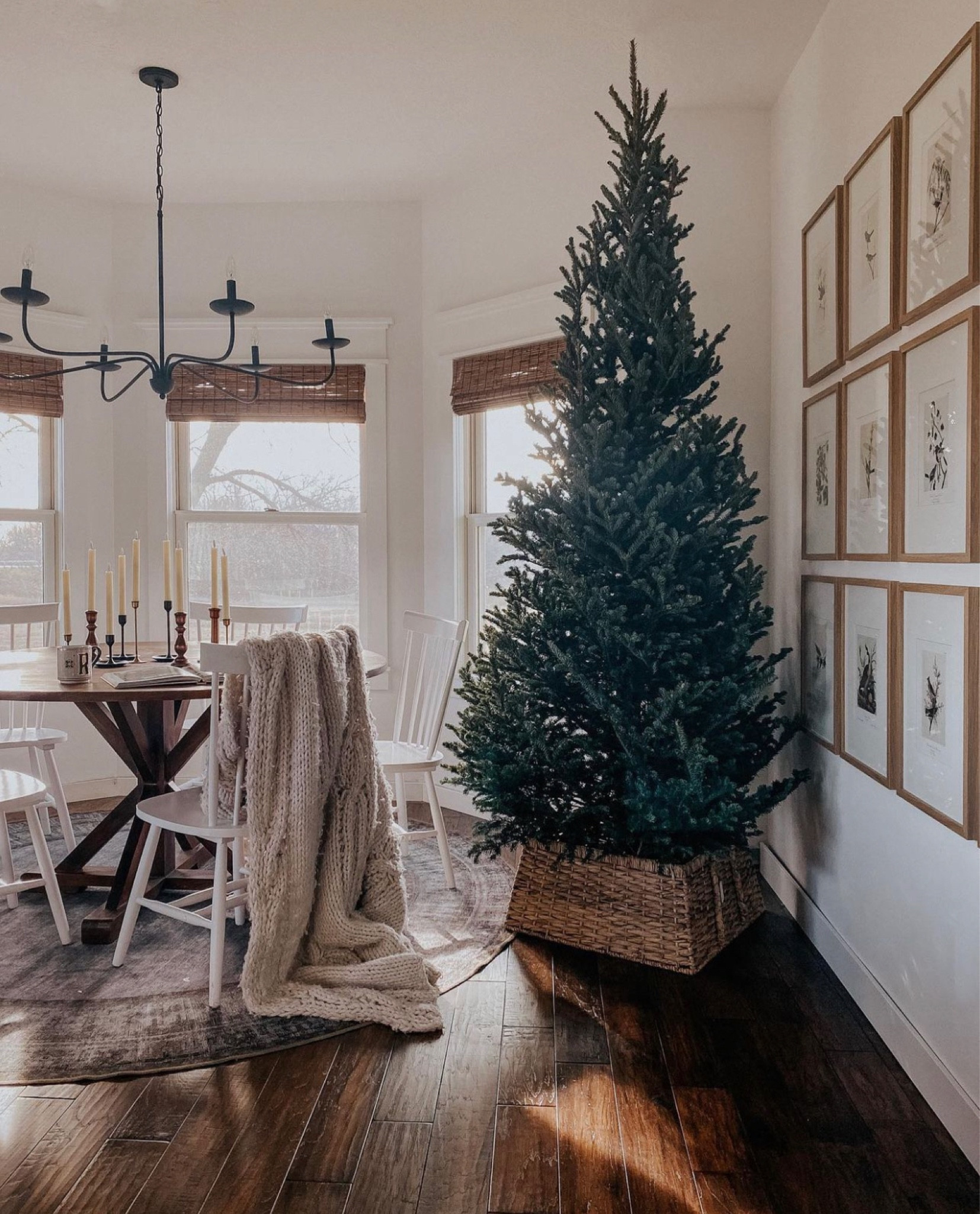 My favorite square tree collar is back in stock! 

#LTKHoliday #LTKSeasonal #LTKhome