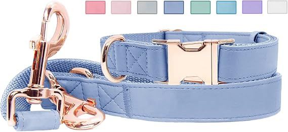 Soft Leather Dog Collar and Leash (6.6') Set - Stylish Rose Gold Heavy Duty Metal Buckle, 4 Adjus... | Amazon (US)