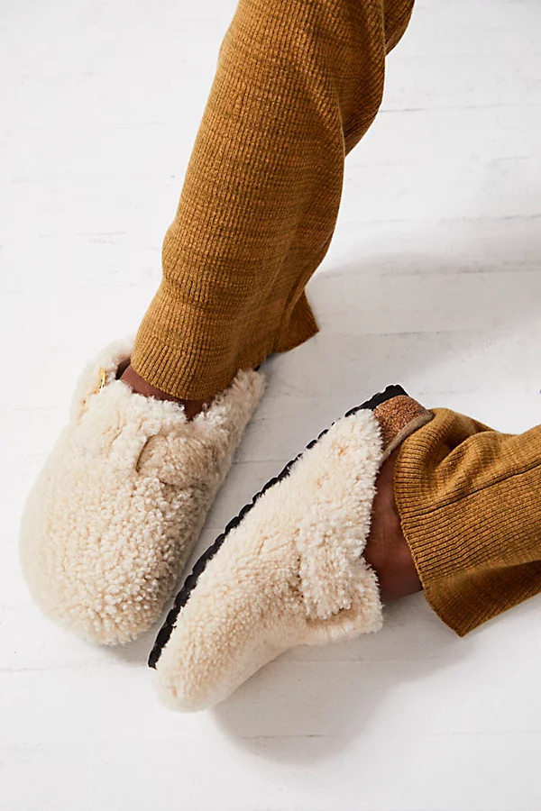 Boston Big Buckle Teddy Shearling Birkenstock | Free People (Global - UK&FR Excluded)