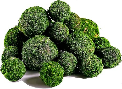 BYHER Moss Balls, 18 PCS Decorative Balls for Centerpiece Bowls - 6pcs 3.2" Natural Dried Balls+ ... | Amazon (US)