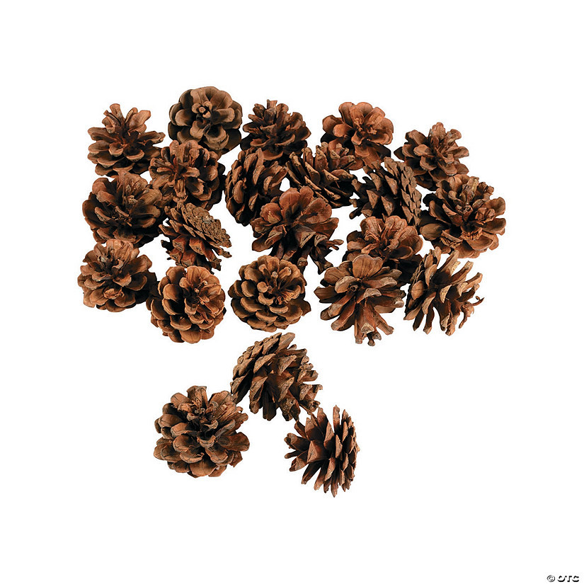 Mini Natural Pinecones - 24 Pc. | Oriental Trading Company