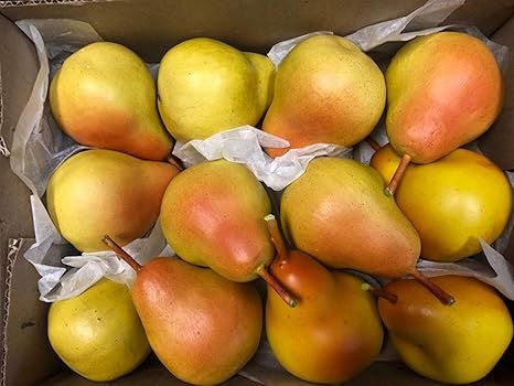 Artificial 4" Pear, Yellow/Blush, Box of 12 Fake Pears Fruit | Amazon (US)