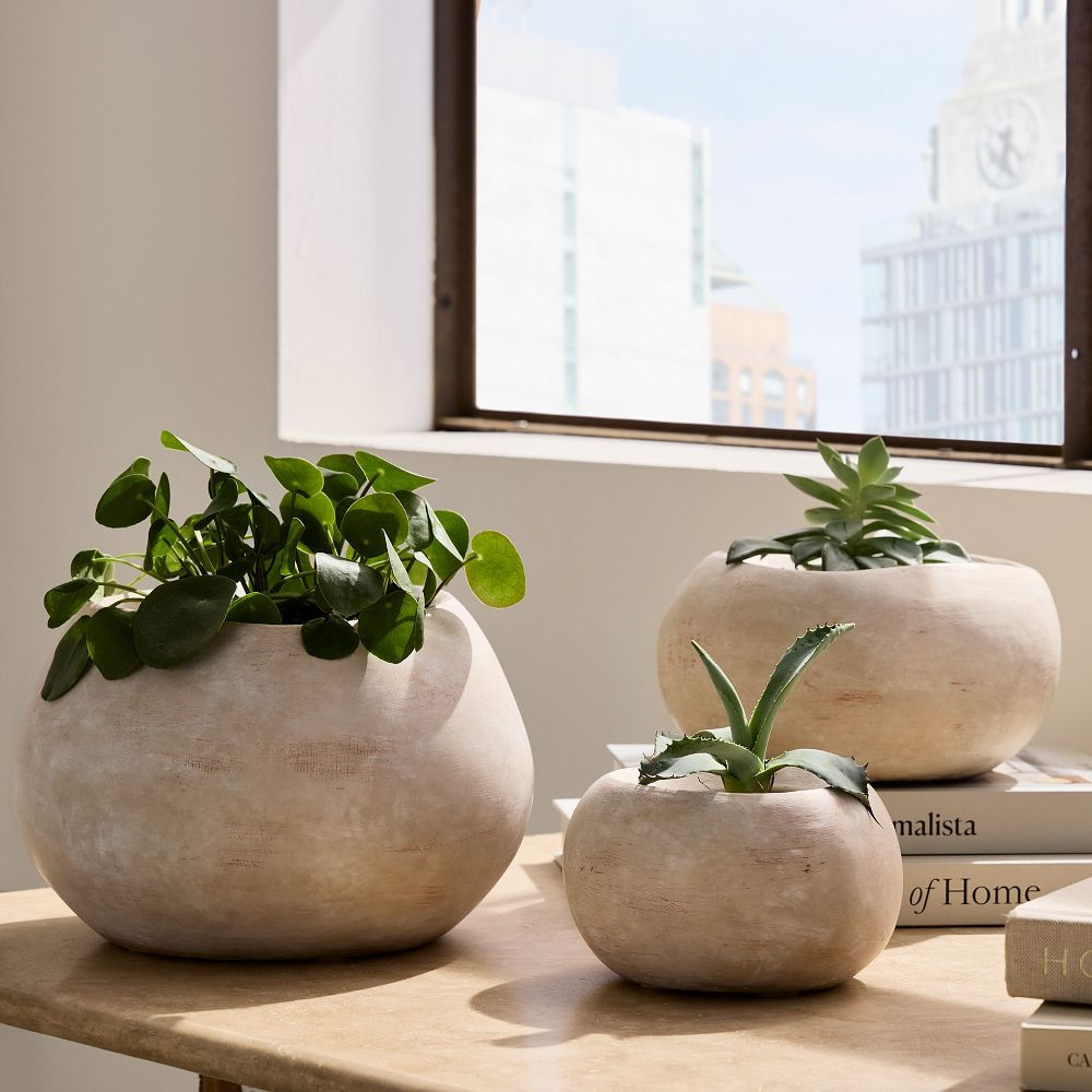 Small  Planter - 6"D x 3.5"H | West Elm (US)