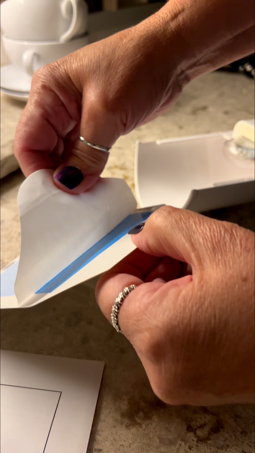 Catch those flys and bugs!

#LTKSeasonal #LTKHome #LTKFindsUnder50