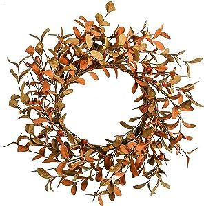 YNYLCHMX 18" Fall Wreath for Front Door, Farmhouse Autumn Wreath with Brown Eucalyptus Berry for ... | Amazon (US)