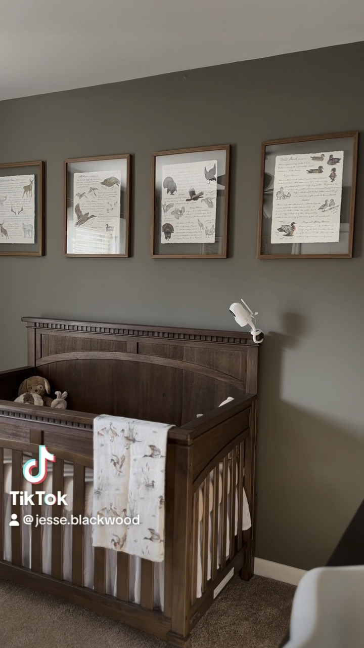 Baby boy’s nursery🤎

#LTKBaby #LTKBump #LTKKids