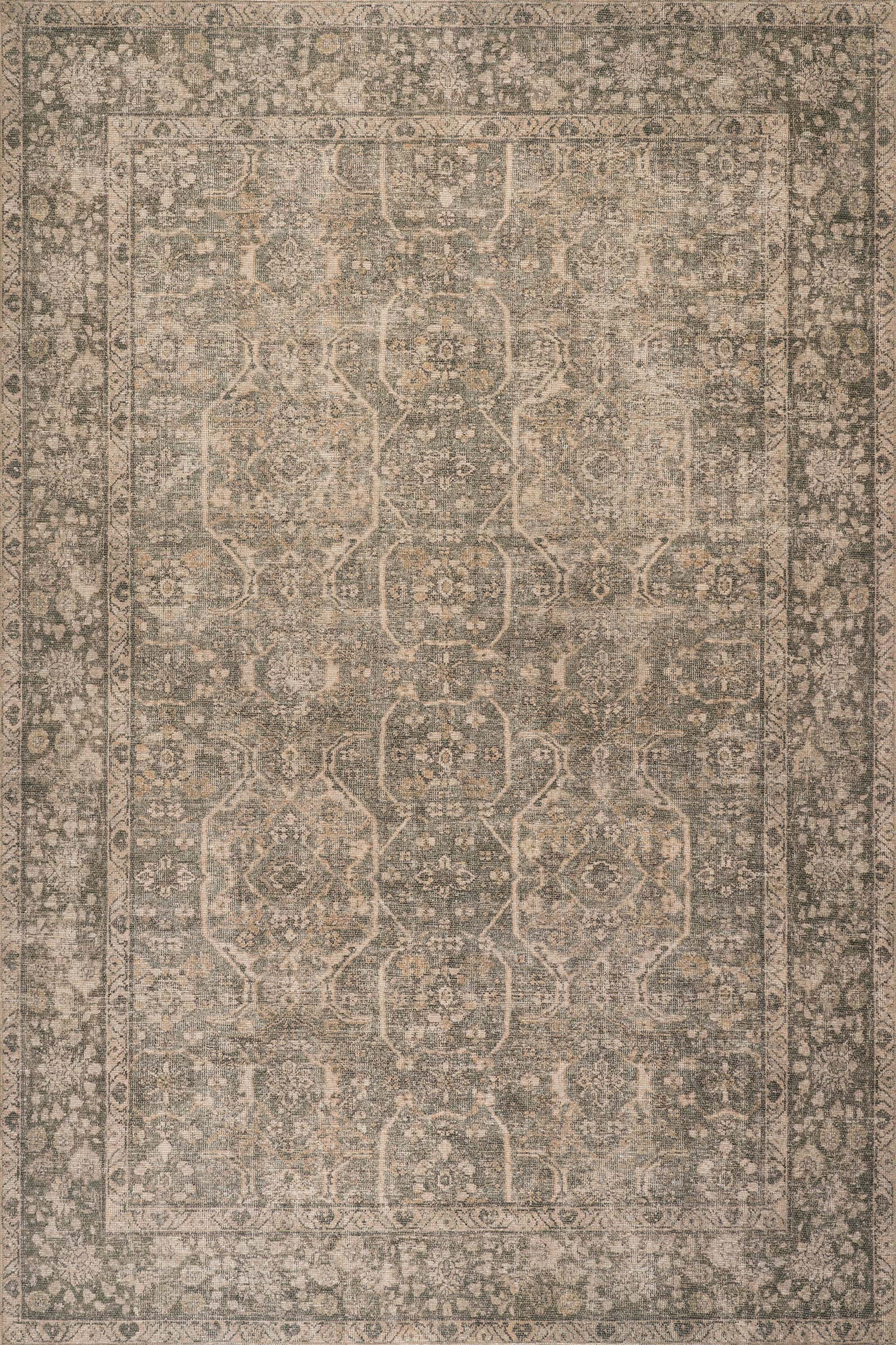Color: GreenCorali Traditional Vintage & Distressed Rug | Blue Blue swatchCorali Traditional Vint... | Rugs USA