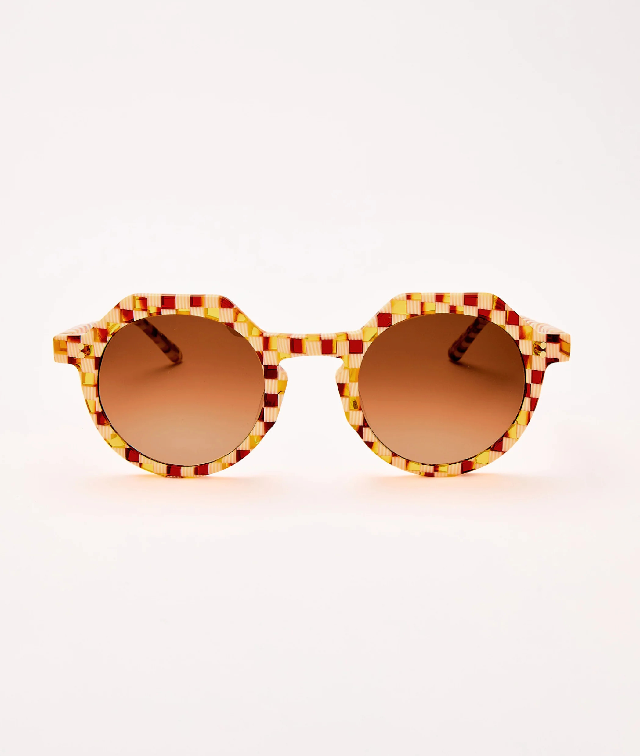 Toasted Moxie | SARDINE