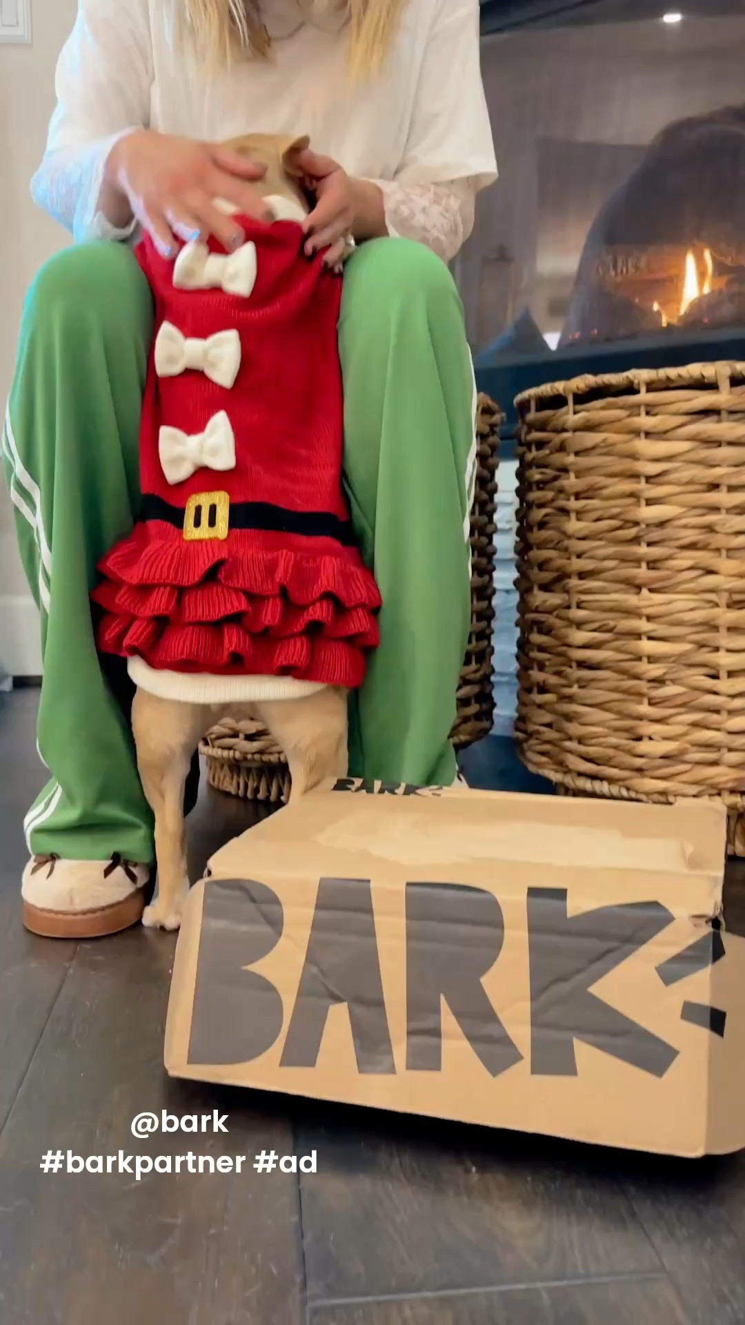 My dogs have no idea what month it is, but they do know when their BarkBox shows up 😆🐾 Each box has a cute new theme + goodies picked just for their size and personality. It’s basically the highlight of their month — and mine! Get your subscription today! #barkpartner #ad @bark
