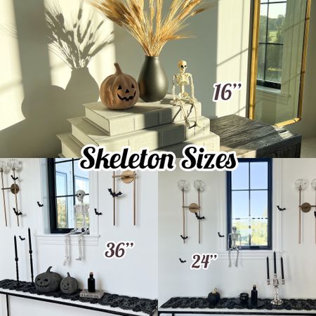 Different sized skeletons I used around the house! I LOVE the 36 inch size I’m going to get a couple more of that size. The smallest 16” size is great to use in so many areas. I hung them on my mantle, and small enough to fit a lot of areas 

#LTKFind #LTKSeasonal #LTKhome